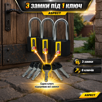 Комплект замків навісних ASPECT К-ЗН-А-55П-Д 0101 фото